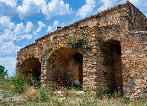 RusticLife